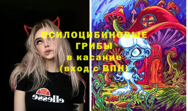 крисы Горно-Алтайск