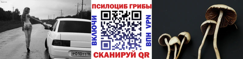 Купить где  Спас-Клепики  Псилоцибиновые грибы мухоморы 
