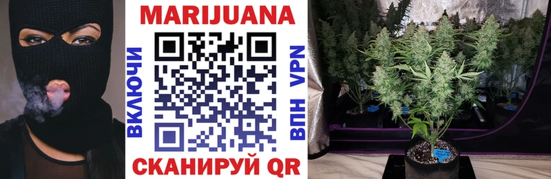 Каннабис Bruce Banner  Купить  Спас-Клепики 